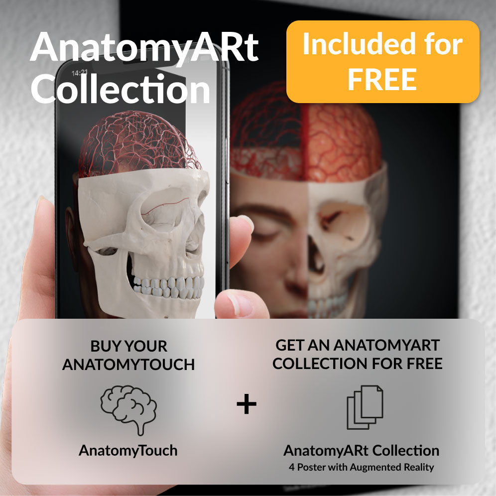 AnatomyTouch