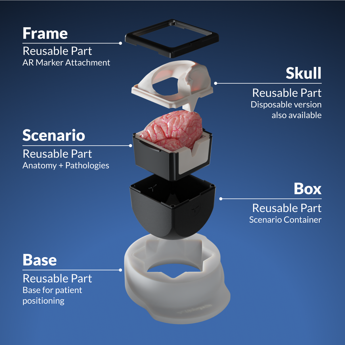 AneurysmBox