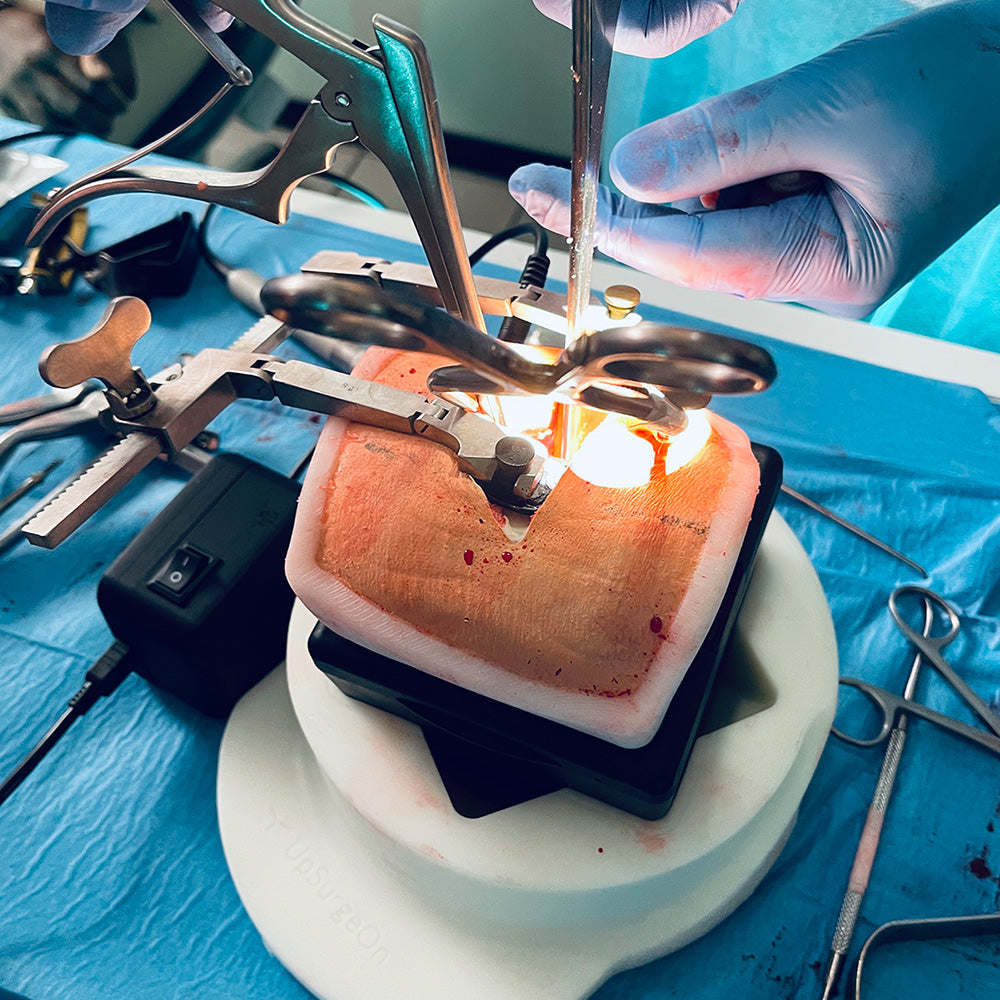 Anterior Cervical Box