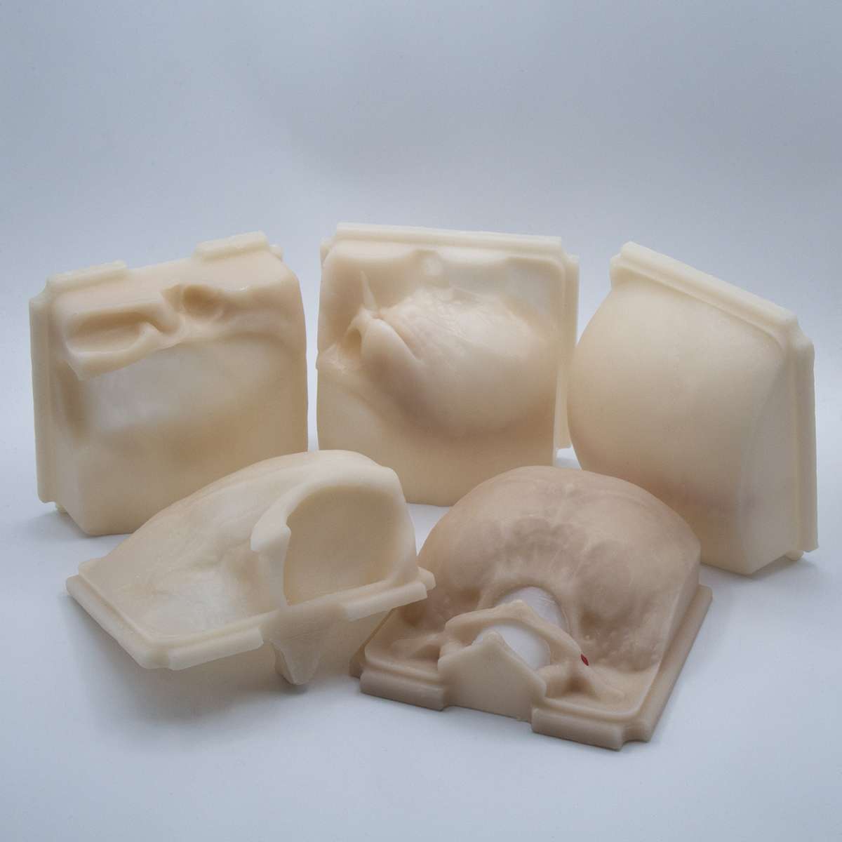 Disposable Skulls