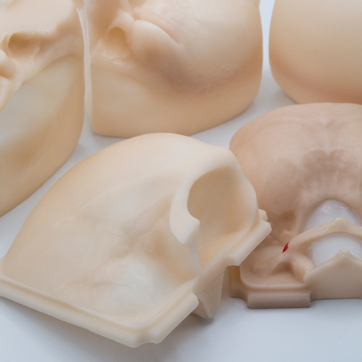 Disposable Skulls
