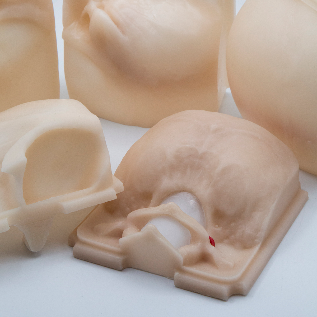Disposable Skulls
