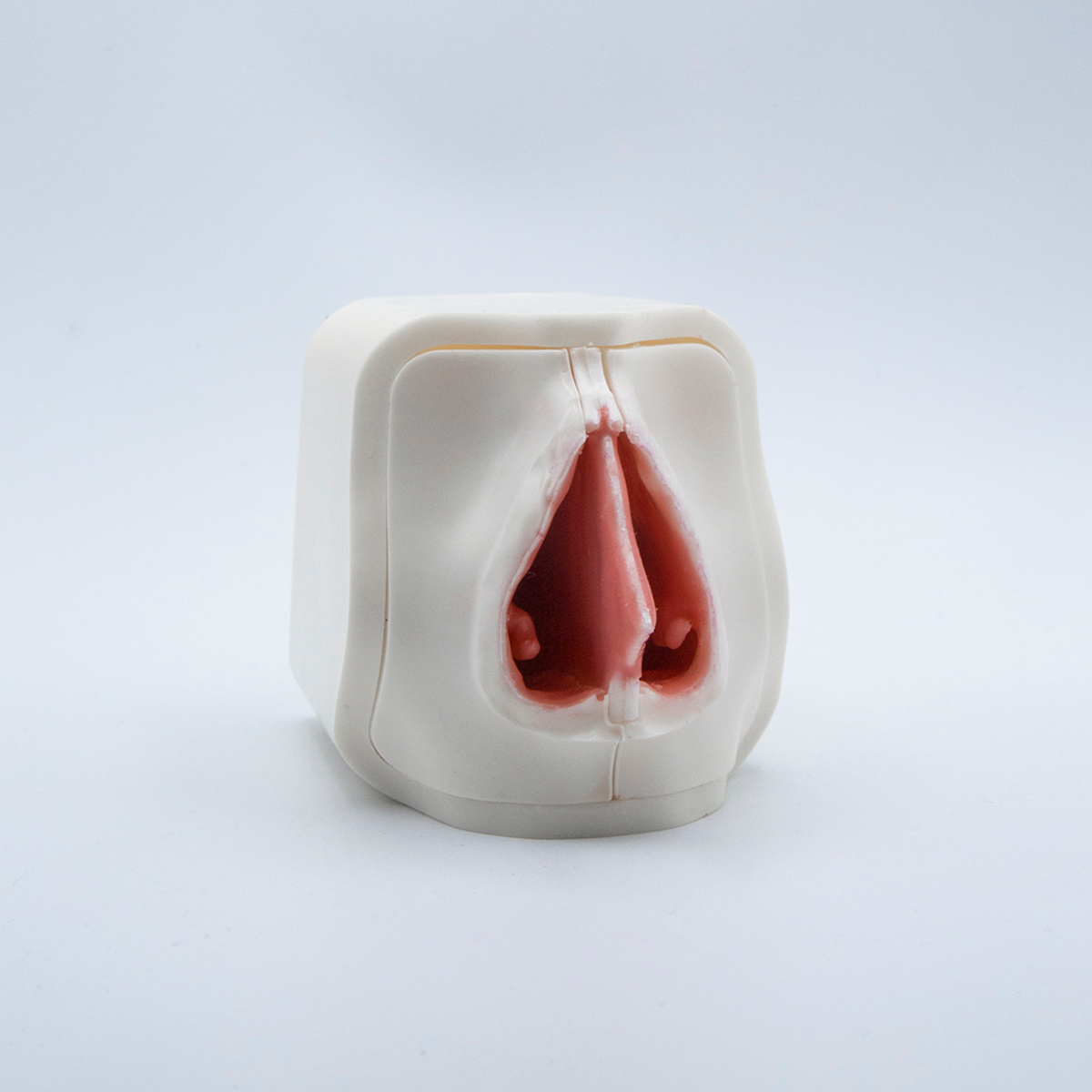 Disposable Cavities