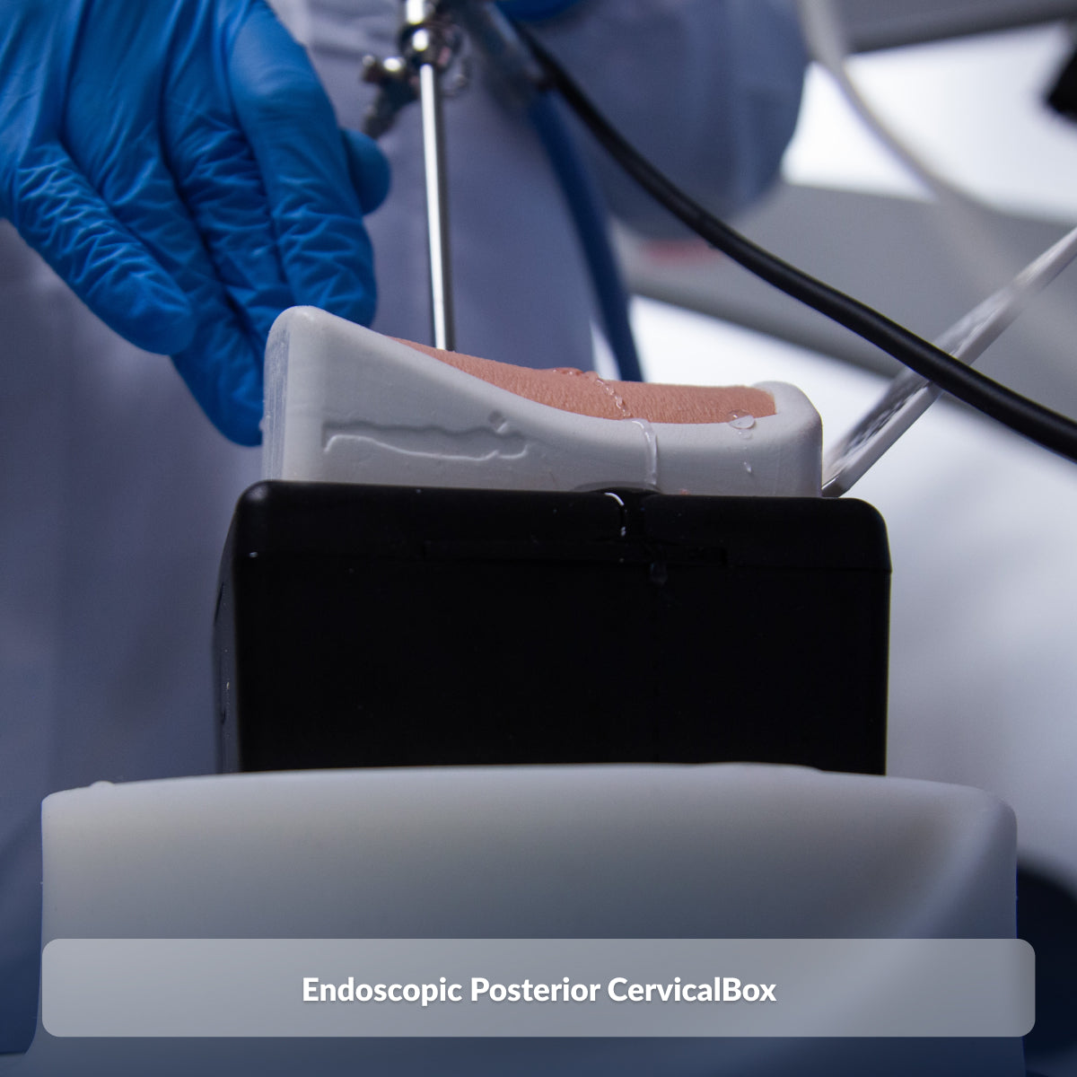 Endoscopic Posterior CervicalBox