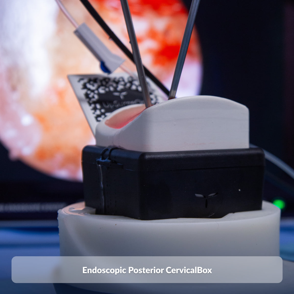 Endoscopic Posterior CervicalBox