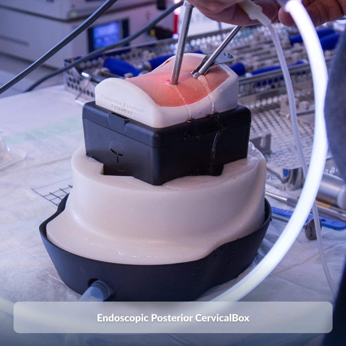 Endoscopic Posterior CervicalBox