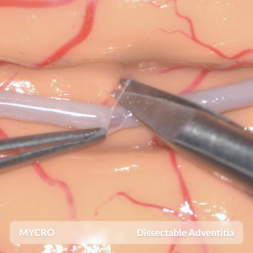 Mycro Full Kit with Loupes