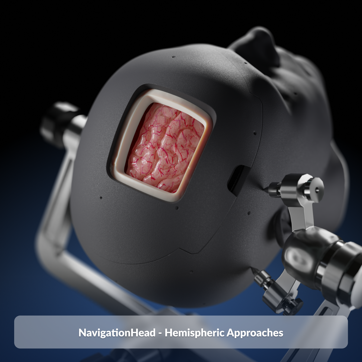 NavigationHead Hemispheric Approaches