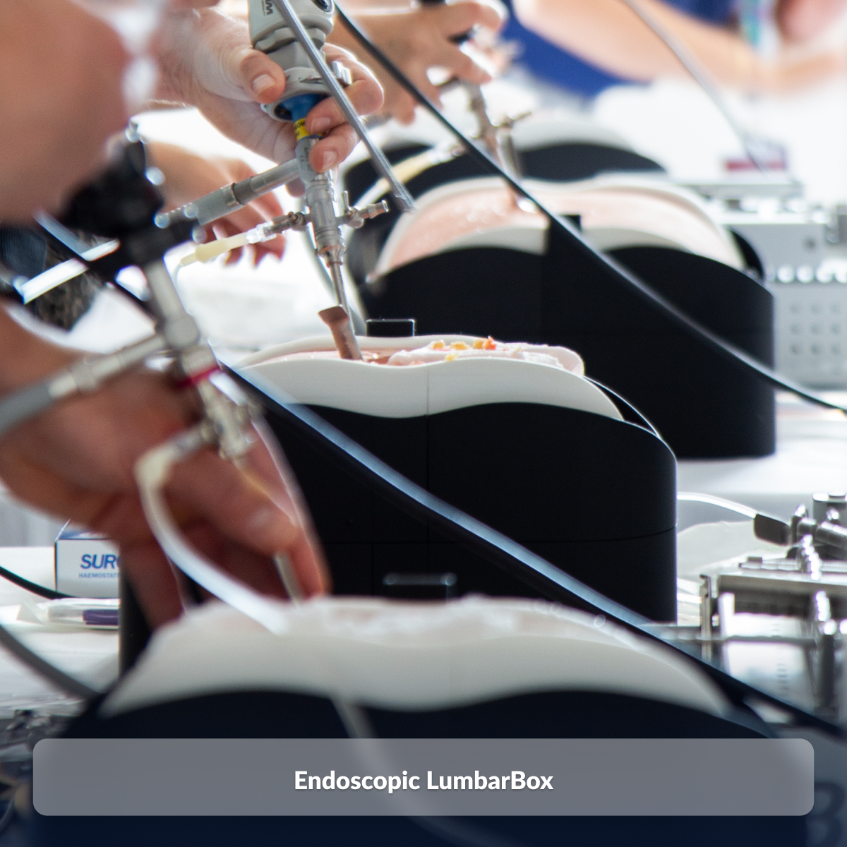 Endoscopic LumbarBox