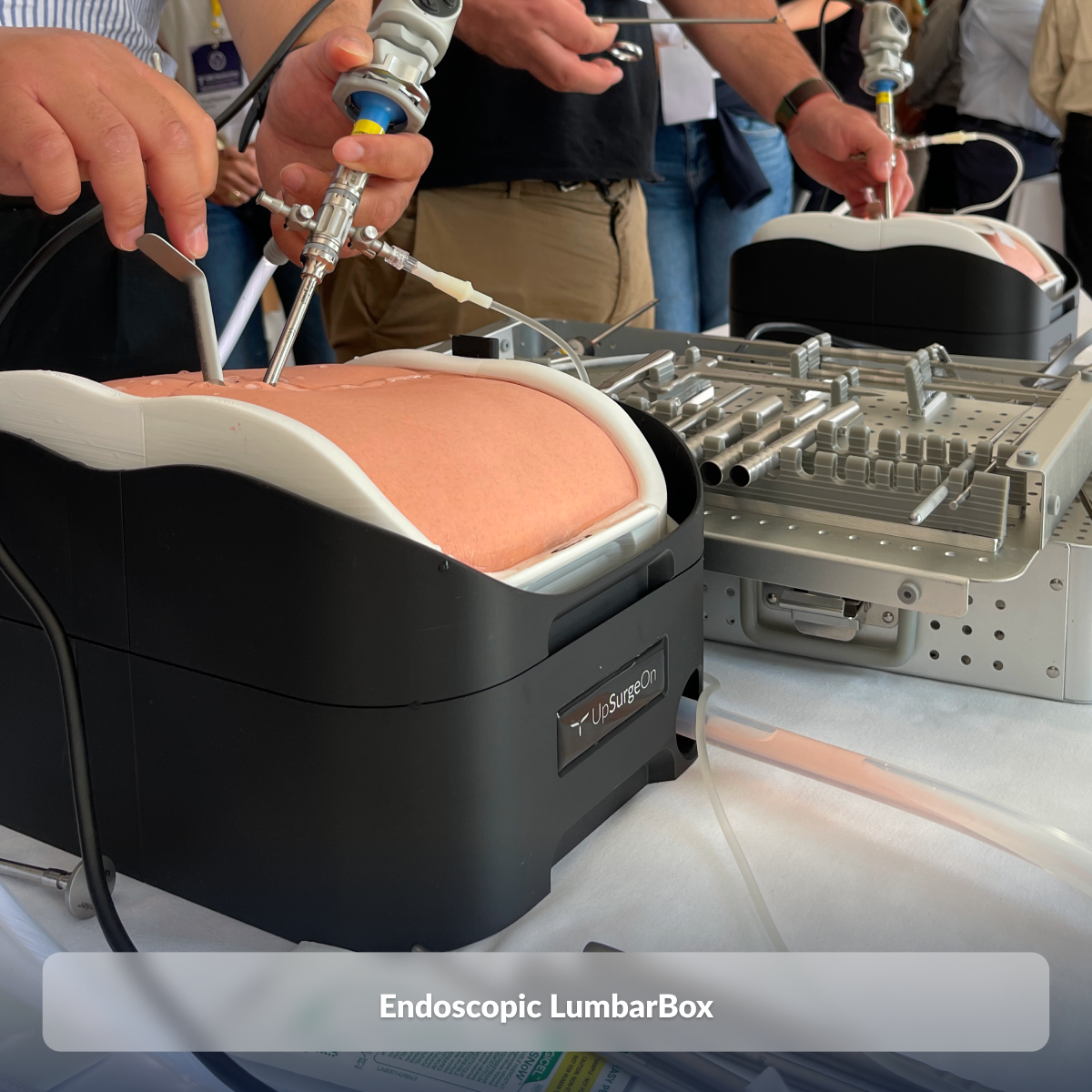 Endoscopic LumbarBox