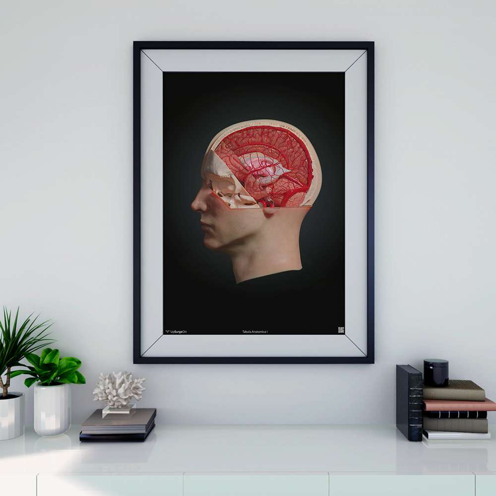 AnatomyARt Tabula Anatomica I