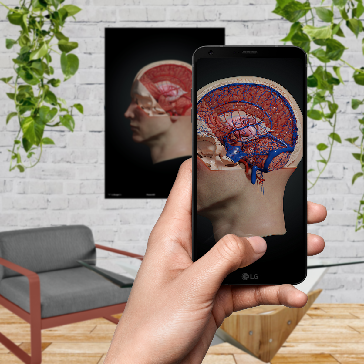 AnatomyARt Tabula Anatomica I