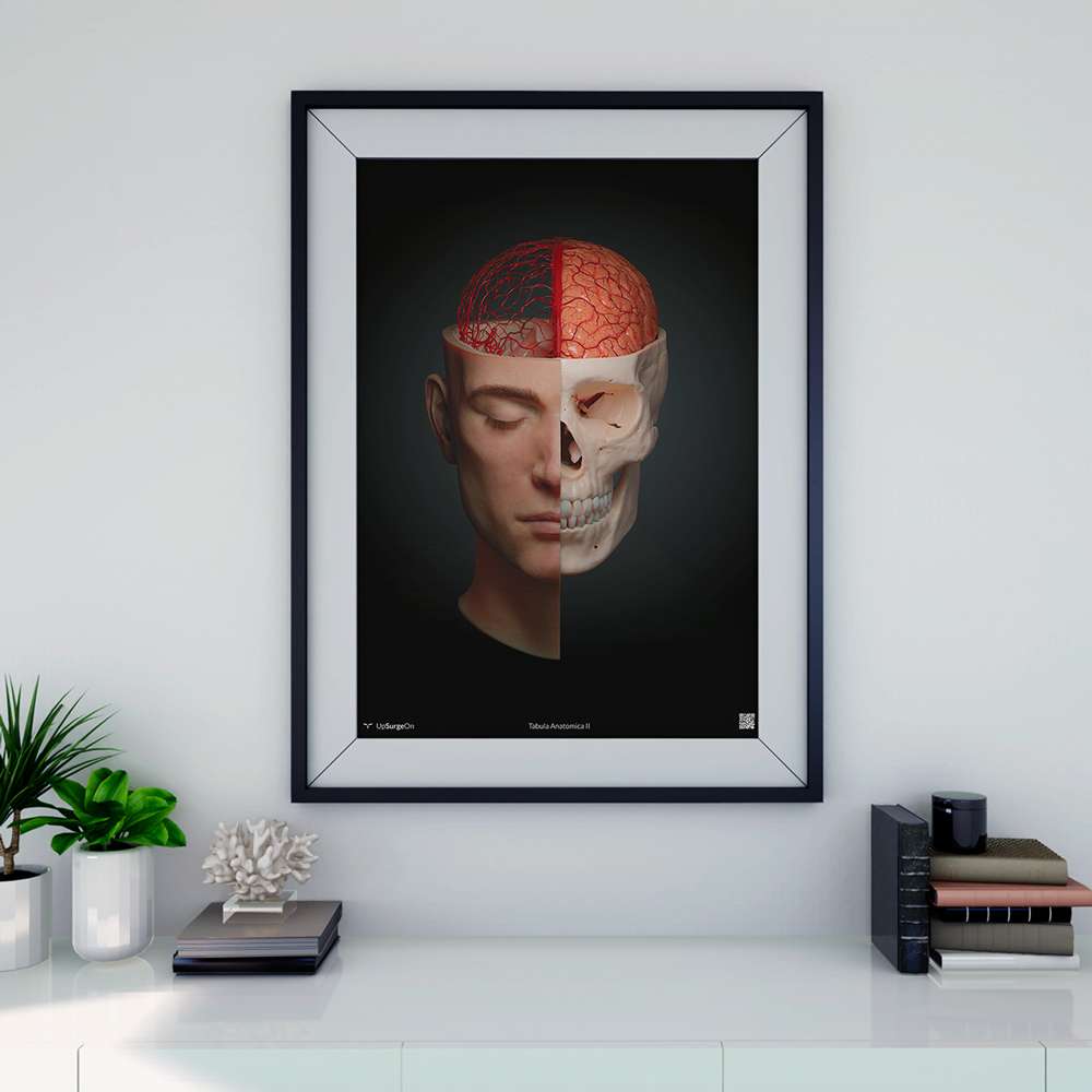 AnatomyARt Tabula Anatomica II