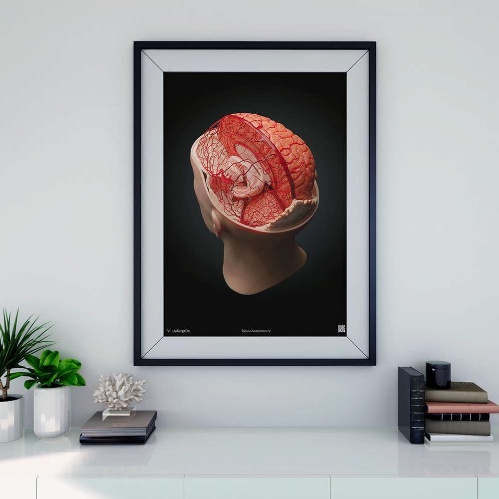 AnatomyARt Tabula Anatomica IV