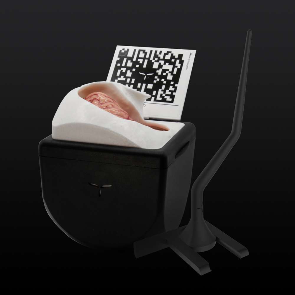 AneurysmBox
