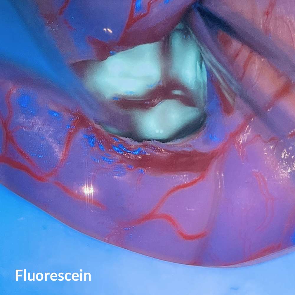 FluorescentBox