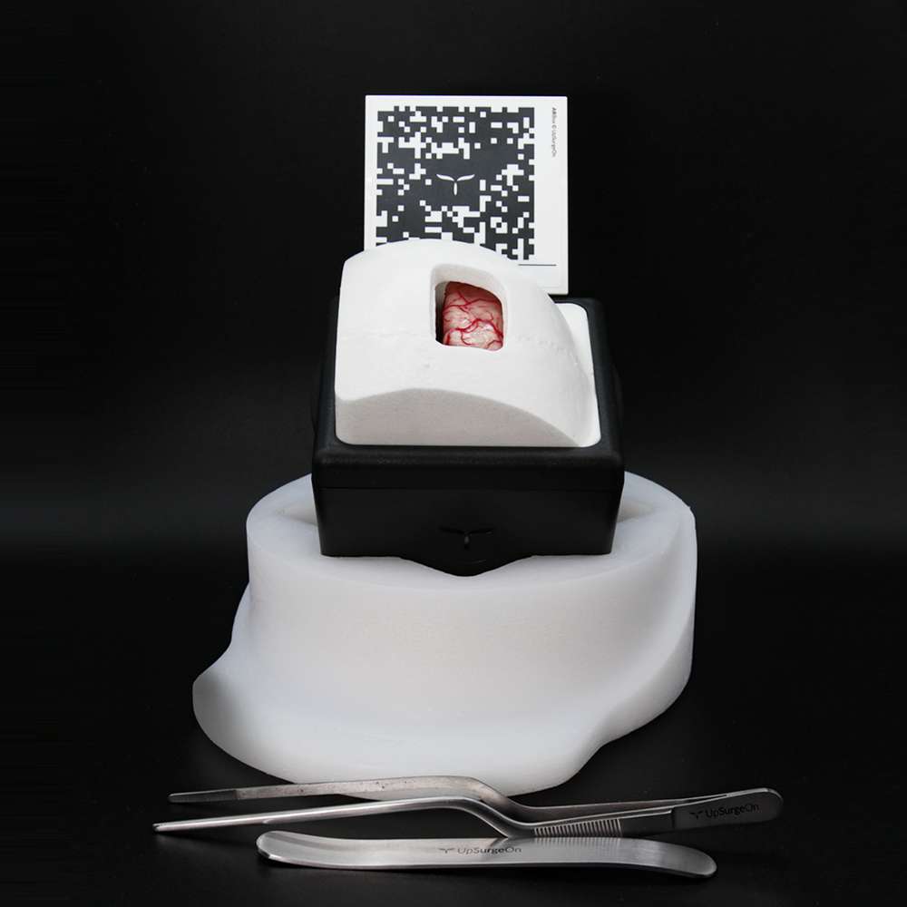 InterhemisphericBox