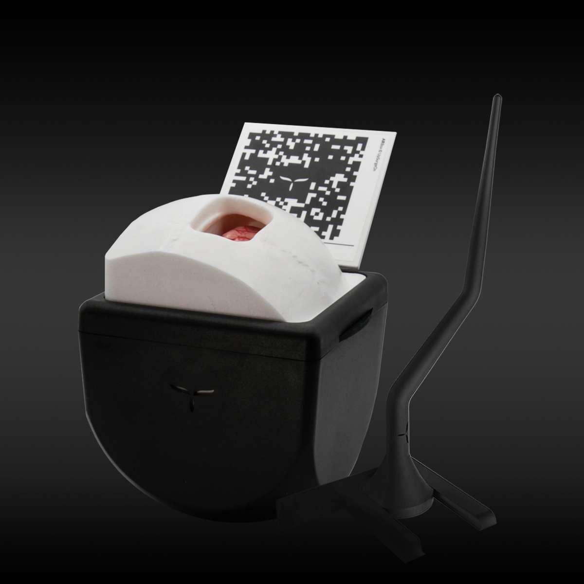InterhemisphericBox