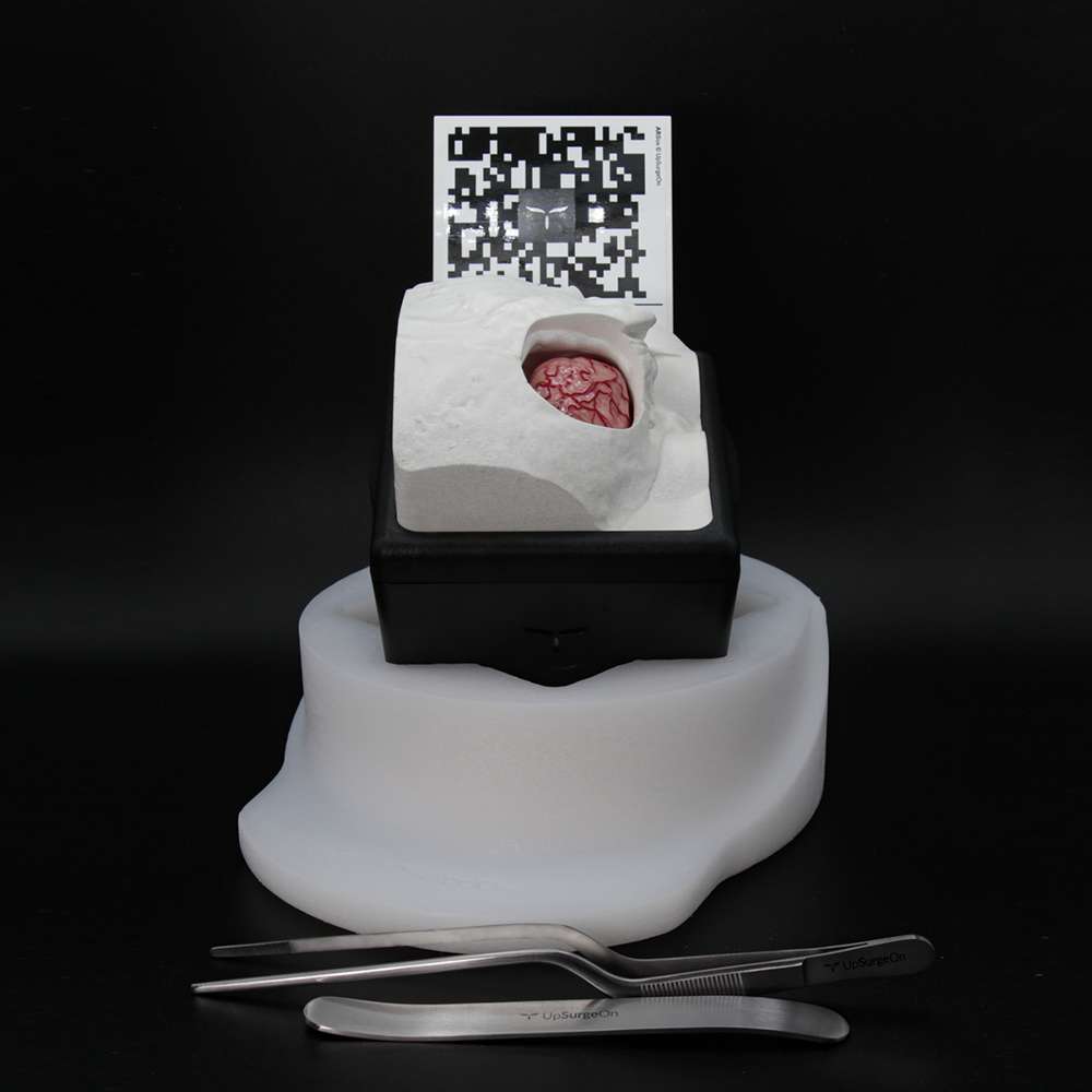 RetrosigmoidBox