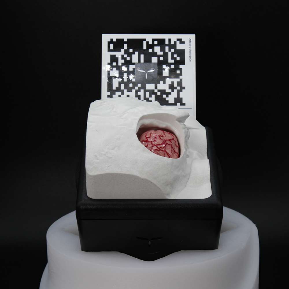 RetrosigmoidBox