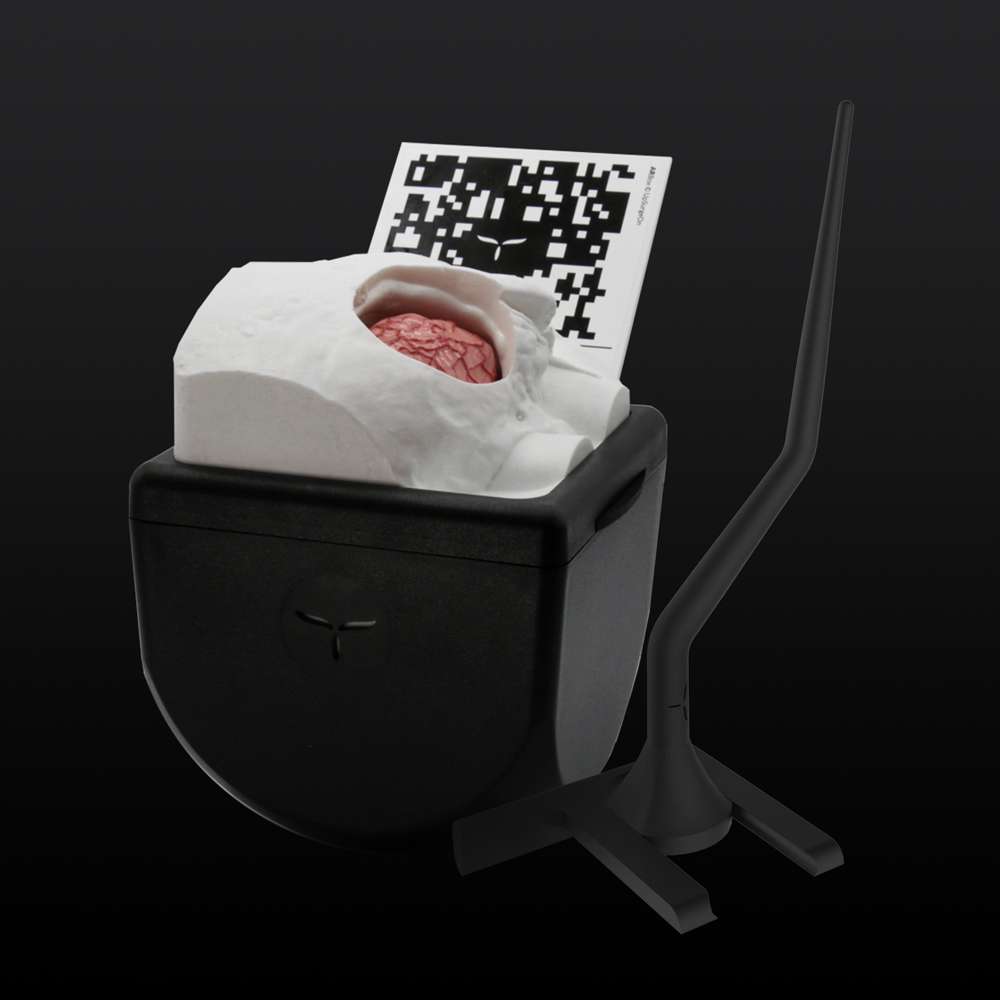 RetrosigmoidBox