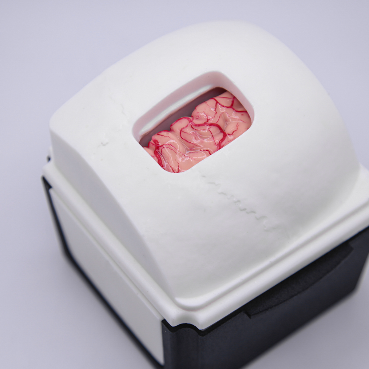 InterhemisphericBox