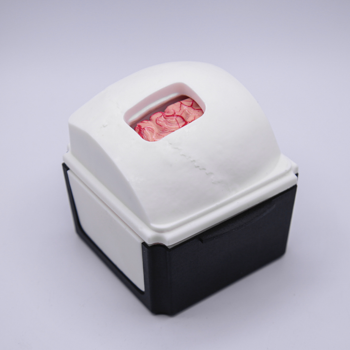 InterhemisphericBox