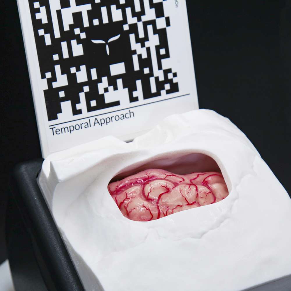 TemporalBox