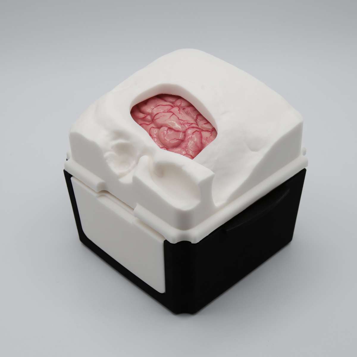 TemporalBox