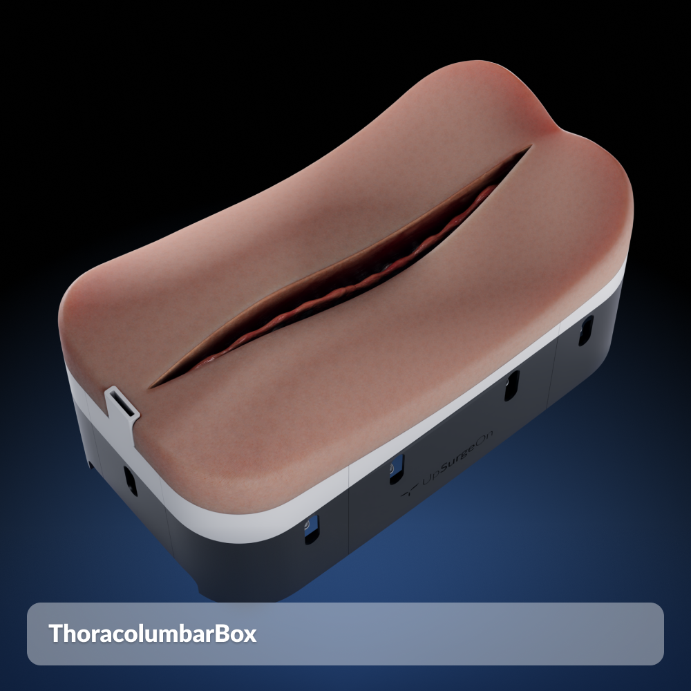 ThoracolumbarBox