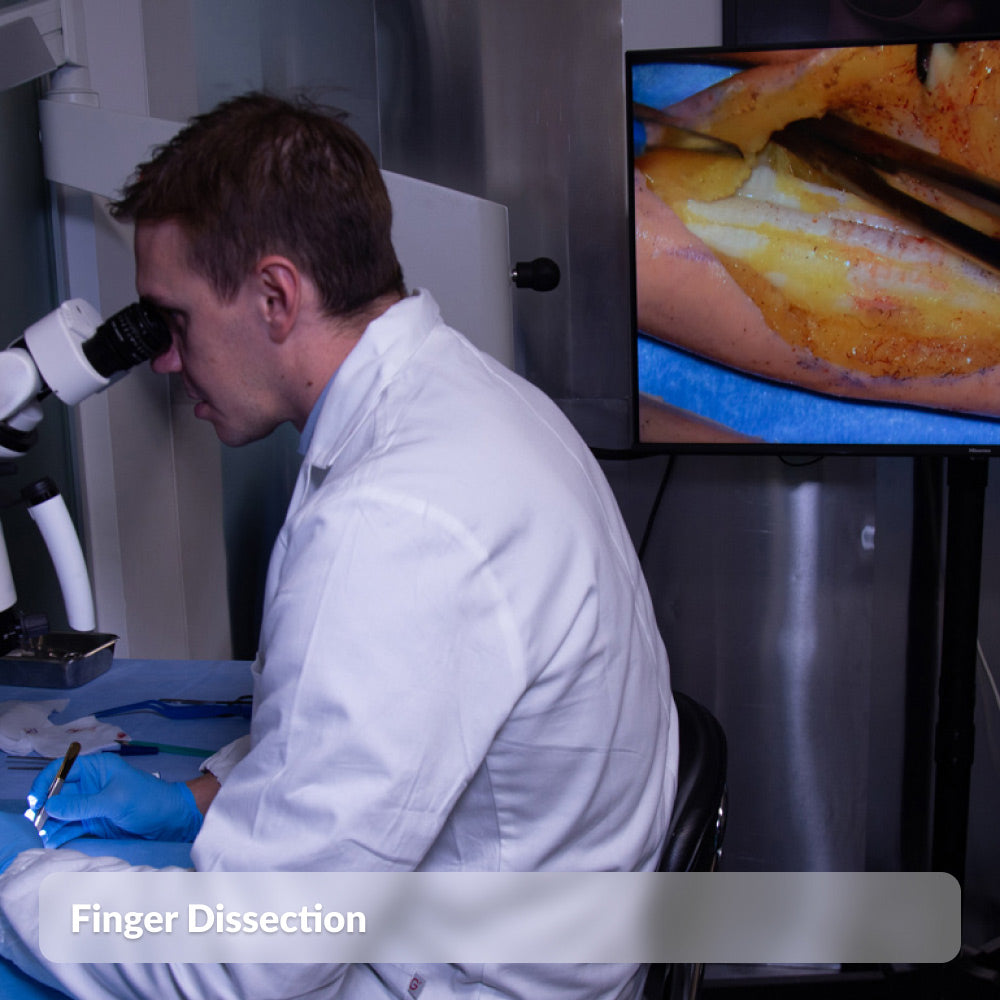 Finger Dissection