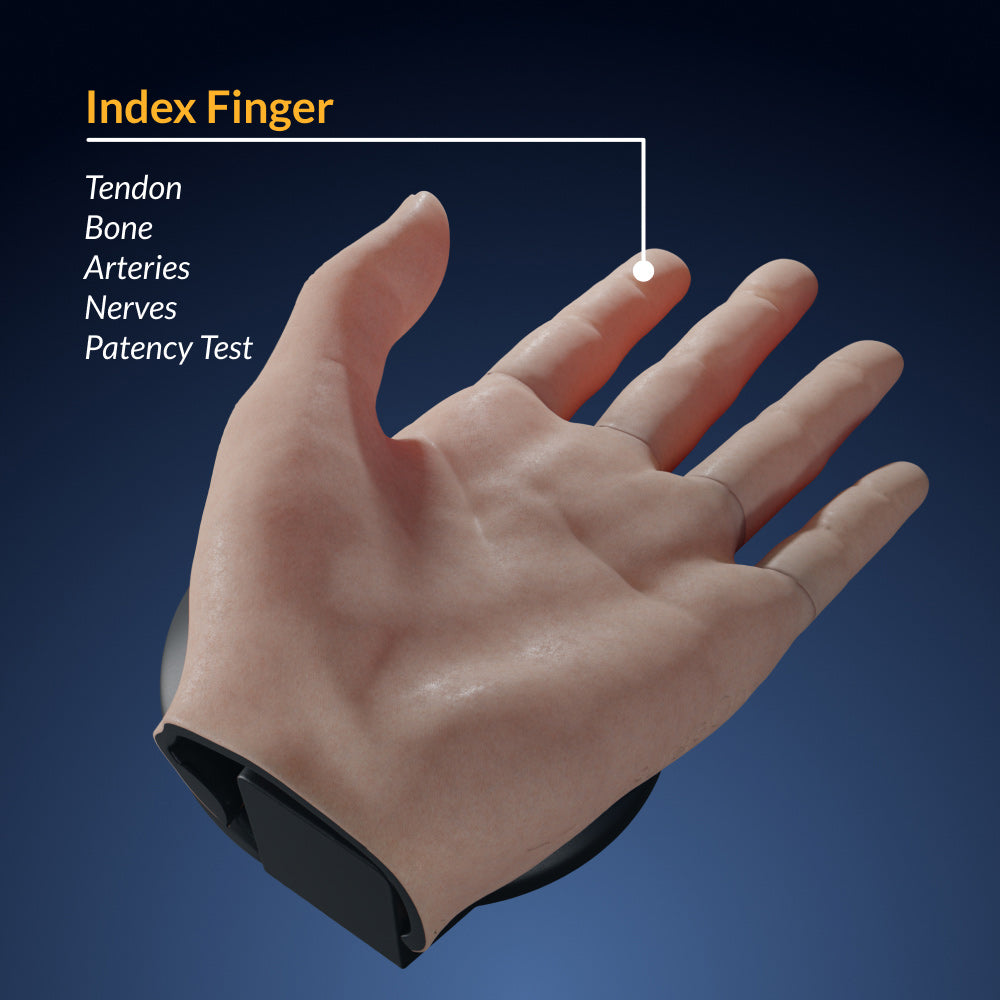 Finger Dissection