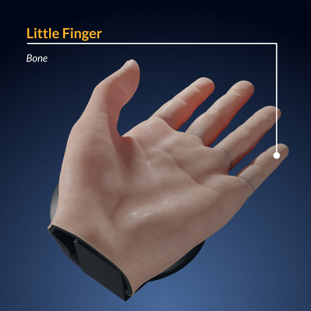 Finger Dissection