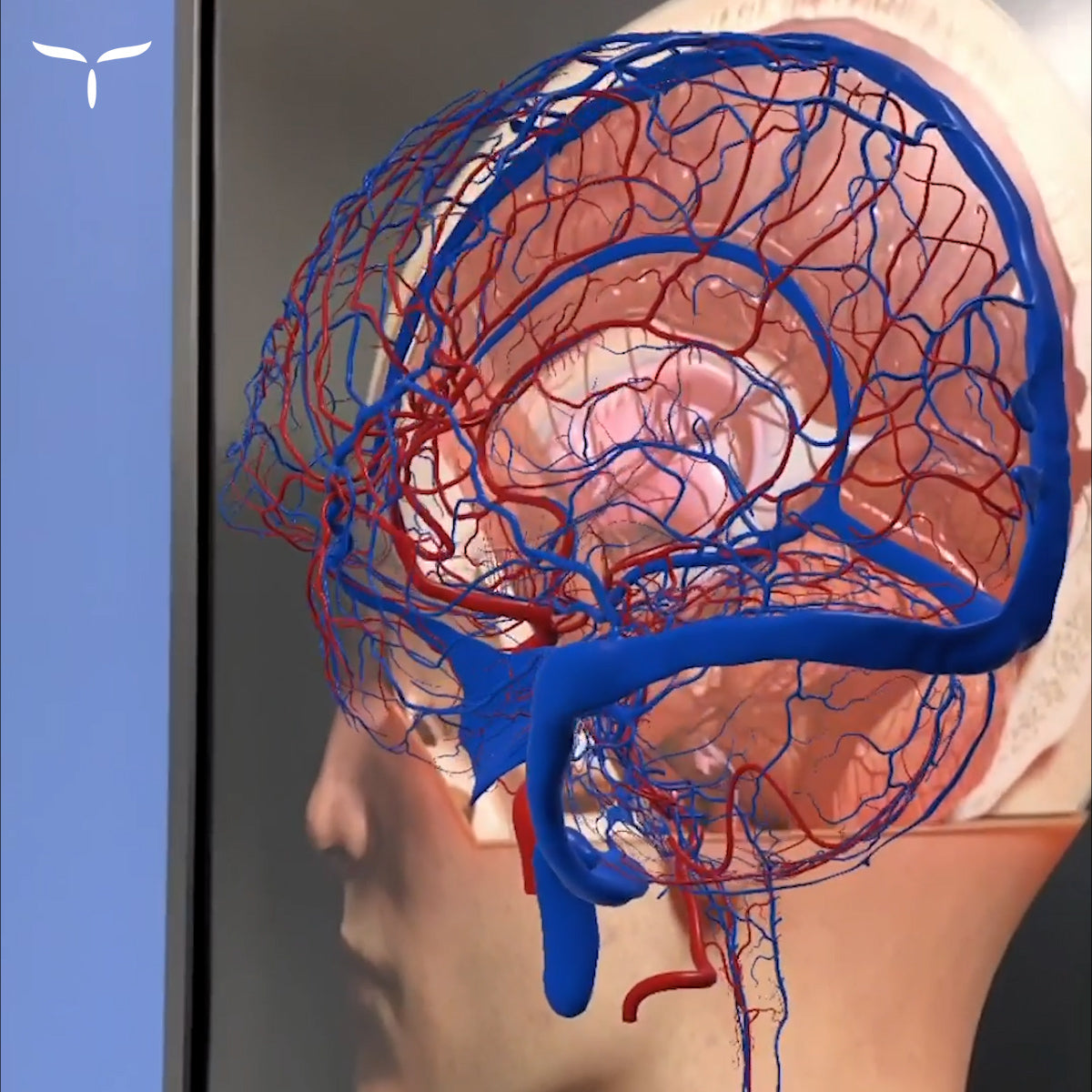 The Anatomy of an Art Cart - The Art of Education University