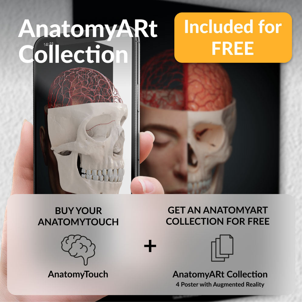 Atlas of Human Anatomy and Surgery - 洋書