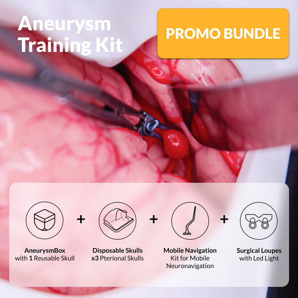 Aneurysm Training Kit