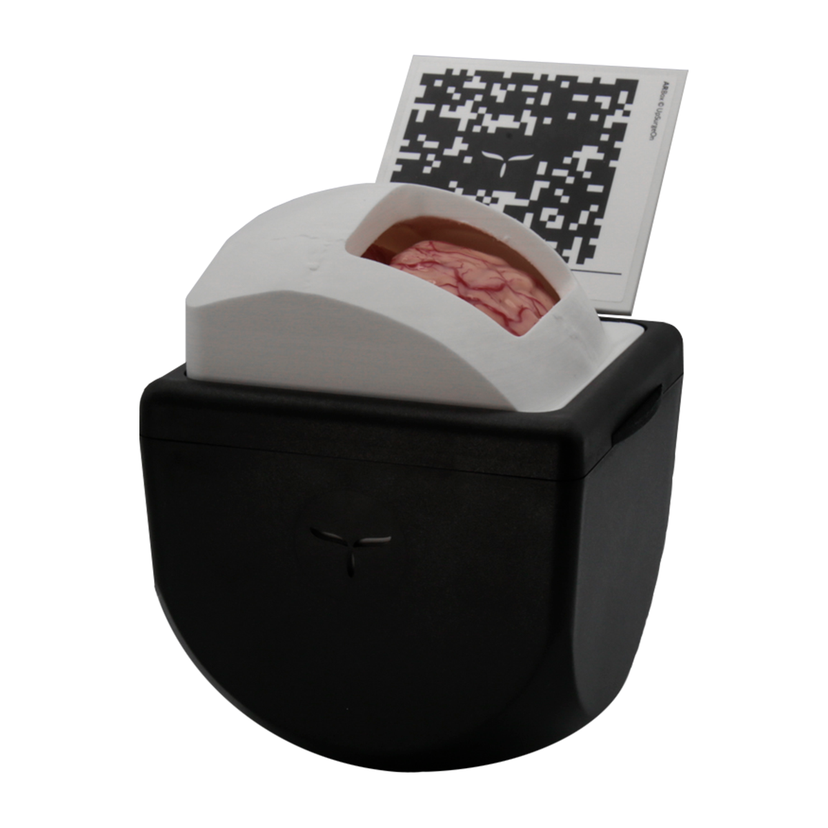 Cranial Series – UpSurgeOn Store