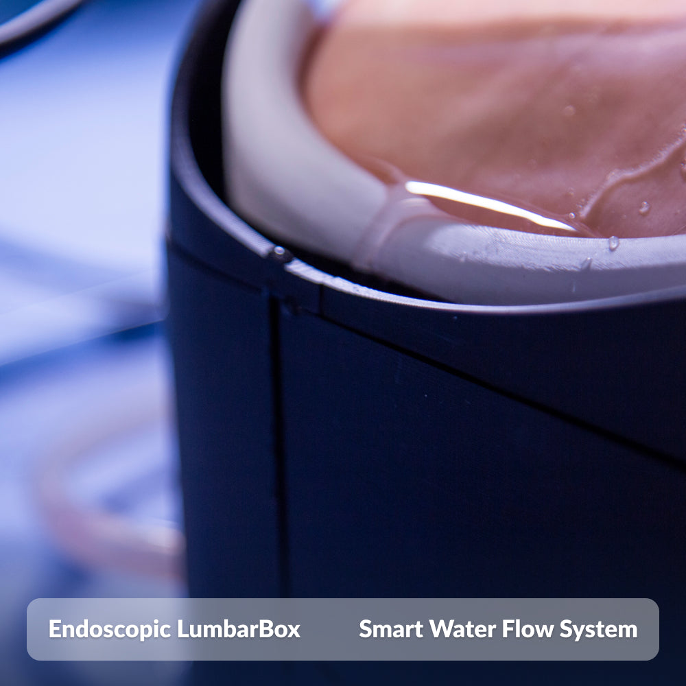 Endoscopic LumbarBox